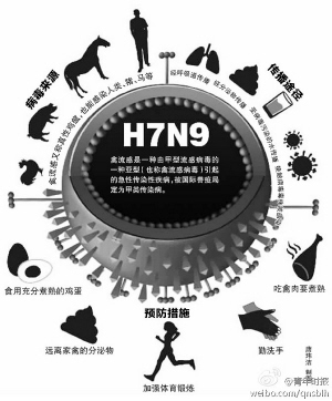 湖南H7N9最新动态，全面防控，坚决保障人民健康安全